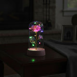 Shayona Gift Shop Artificial LED Rose Flower with Glass Dome | Decorative Night Lamp for Bedroom & Living Room | Ideal Gift for Anniversary, Birthday & Valentine’s Day