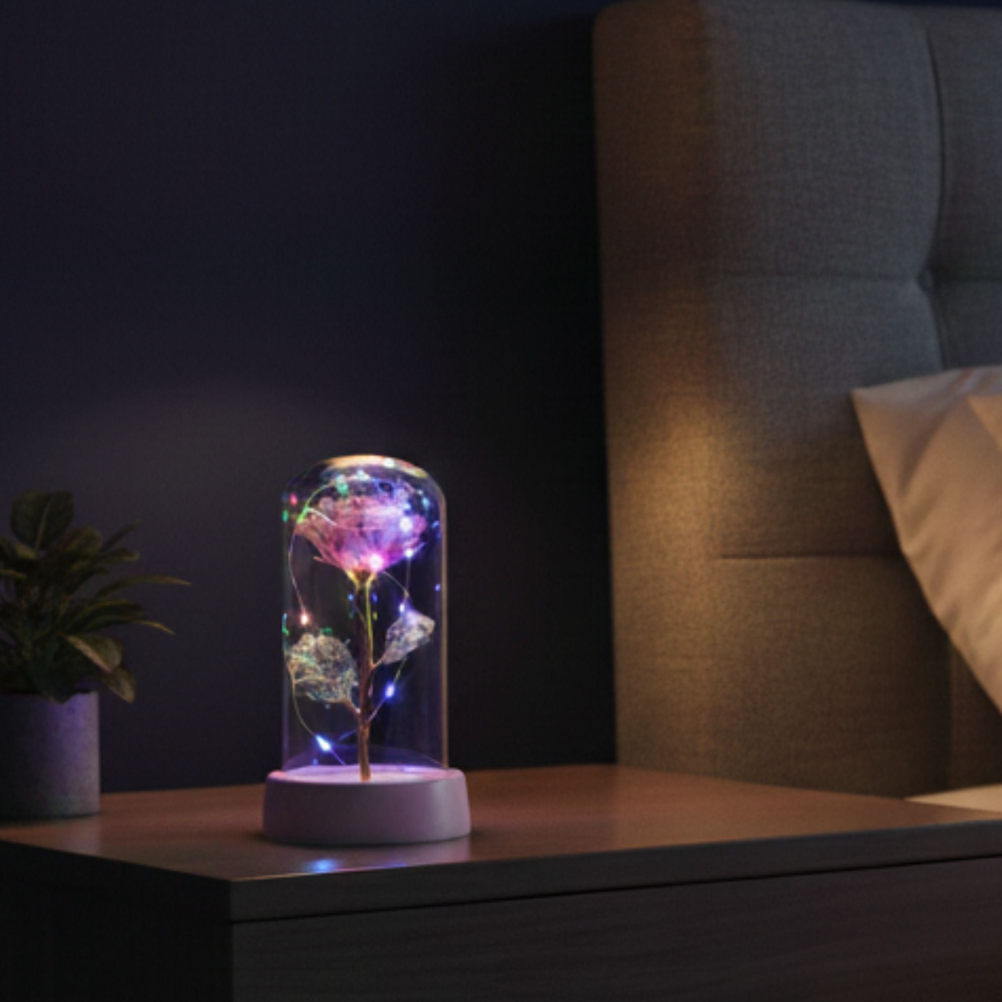 Shayona Gift Shop Artificial LED Rose Flower with Glass Dome | Decorative Night Lamp for Bedroom & Living Room | Ideal Gift for Anniversary, Birthday & Valentine’s Day