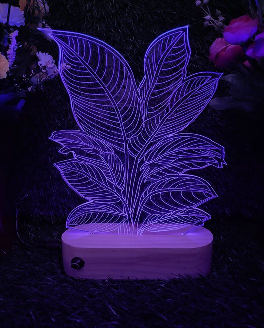 plant